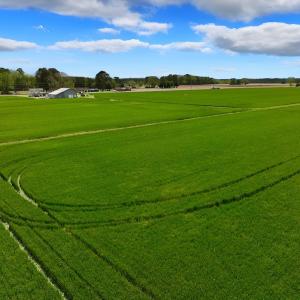 Photo #24 of 973 Mosely Road, Washington, NC 117.0 acres