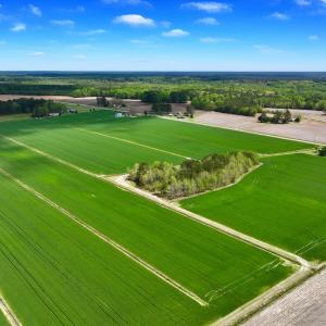 Photo #8 of 973 Mosely Road, Washington, NC 117.0 acres