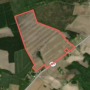 Photo #26 of 973 Mosely Road, Washington, NC 117.0 acres