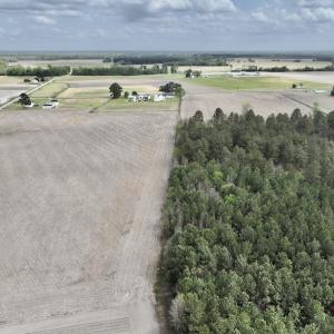 Photo #11 of Off Vandiford Thomas Road, Snow Hill, NC 60.8 acres