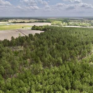 Photo #12 of Off Vandiford Thomas Road, Snow Hill, NC 60.8 acres