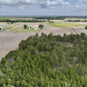 Photo #13 of Off Vandiford Thomas Road, Snow Hill, NC 60.8 acres