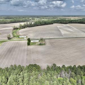 Photo #14 of Off Vandiford Thomas Road, Snow Hill, NC 60.8 acres