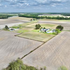 Photo #16 of Off Vandiford Thomas Road, Snow Hill, NC 60.8 acres