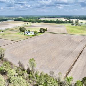 Photo #18 of Off Vandiford Thomas Road, Snow Hill, NC 60.8 acres