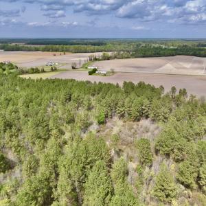 Photo #20 of Off Vandiford Thomas Road, Snow Hill, NC 60.8 acres