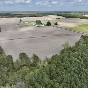 Photo #21 of Off Vandiford Thomas Road, Snow Hill, NC 60.8 acres