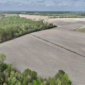 Photo #22 of Off Vandiford Thomas Road, Snow Hill, NC 60.8 acres