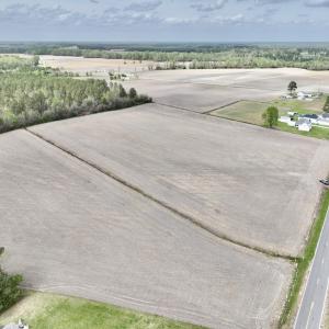 Photo #23 of Off Vandiford Thomas Road, Snow Hill, NC 60.8 acres