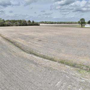 Photo #24 of Off Vandiford Thomas Road, Snow Hill, NC 60.8 acres