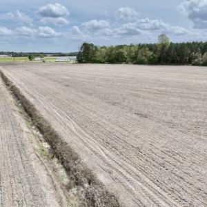 Photo #27 of Off Vandiford Thomas Road, Snow Hill, NC 60.8 acres