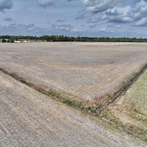 Photo #29 of Off Vandiford Thomas Road, Snow Hill, NC 60.8 acres