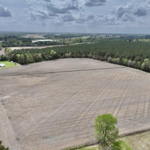 Photo #3 of Off Vandiford Thomas Road, Snow Hill, NC 60.8 acres