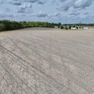 Photo #30 of Off Vandiford Thomas Road, Snow Hill, NC 60.8 acres