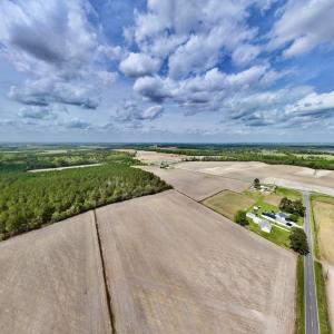 Photo #31 of Off Vandiford Thomas Road, Snow Hill, NC 60.8 acres