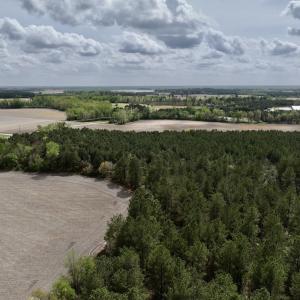 Photo #32 of Off Vandiford Thomas Road, Snow Hill, NC 60.8 acres
