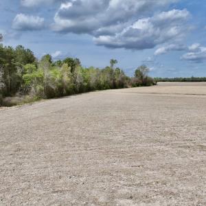 Photo #33 of Off Vandiford Thomas Road, Snow Hill, NC 60.8 acres