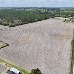 Photo #4 of Off Vandiford Thomas Road, Snow Hill, NC 60.8 acres