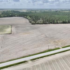 Photo #5 of Off Vandiford Thomas Road, Snow Hill, NC 60.8 acres