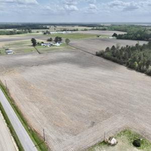 Photo #8 of Off Vandiford Thomas Road, Snow Hill, NC 60.8 acres
