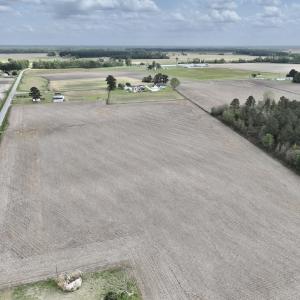Photo #9 of Off Vandiford Thomas Road, Snow Hill, NC 60.8 acres