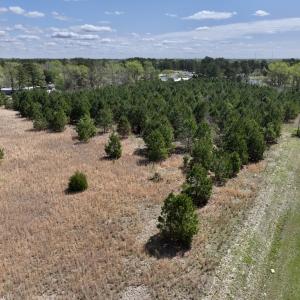 Photo #22 of Off Old Washington Road, Washington, NC 10.6 acres