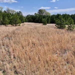 Photo #23 of Off Old Washington Road, Washington, NC 10.6 acres