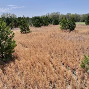 Photo #24 of Off Old Washington Road, Washington, NC 10.6 acres