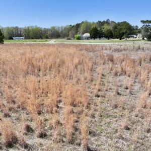 Photo #25 of Off Old Washington Road, Washington, NC 10.6 acres