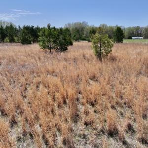 Photo #26 of Off Old Washington Road, Washington, NC 10.6 acres