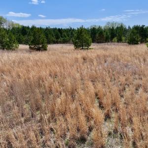 Photo #27 of Off Old Washington Road, Washington, NC 10.6 acres