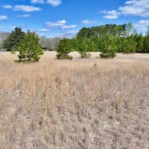Photo #28 of Off Old Washington Road, Washington, NC 10.6 acres