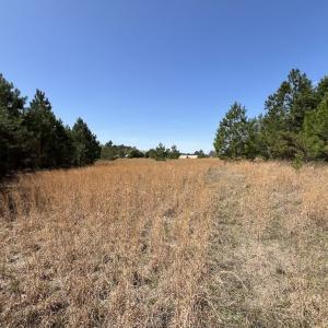Photo #29 of Off Old Washington Road, Washington, NC 10.6 acres