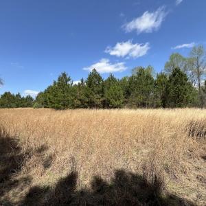 Photo #30 of Off Old Washington Road, Washington, NC 10.6 acres