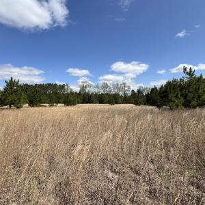 Photo #31 of Off Old Washington Road, Washington, NC 10.6 acres