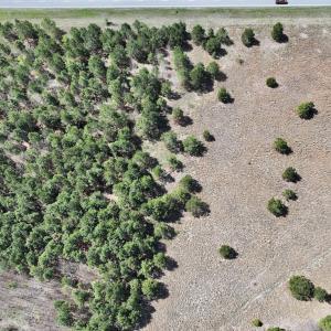 Photo #33 of Off Old Washington Road, Washington, NC 10.6 acres