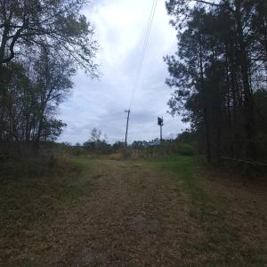 Photo #9 of Off Mulberry Road, St. George, SC 11.7 acres