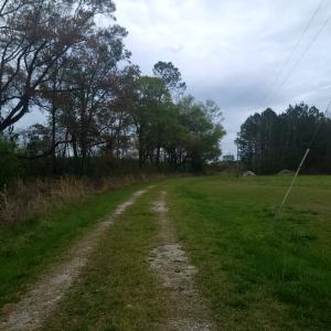 Photo #10 of Off Mulberry Road, St. George, SC 11.7 acres