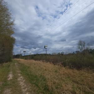 Photo #4 of Off Mulberry Road, St. George, SC 11.7 acres