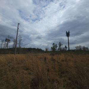 Photo #5 of Off Mulberry Road, St. George, SC 11.7 acres