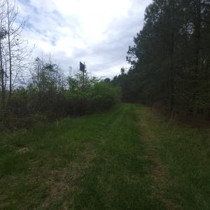 Photo #7 of Off Mulberry Road, St. George, SC 11.7 acres