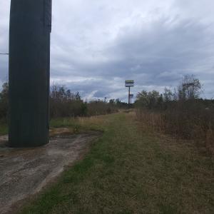 Photo #8 of Off Mulberry Road, St. George, SC 11.7 acres
