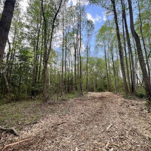Photo #10 of Off Red Road, Nashville, NC 29.5 acres