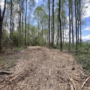 Photo #11 of Off Red Road, Nashville, NC 29.5 acres