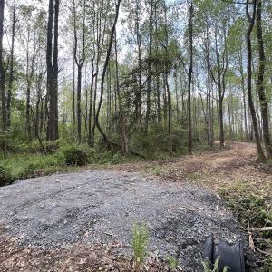 Photo #13 of Off Red Road, Nashville, NC 29.5 acres