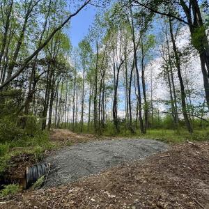 Photo #14 of Off Red Road, Nashville, NC 29.5 acres