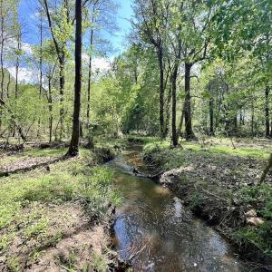 Photo #19 of Off Red Road, Nashville, NC 29.5 acres