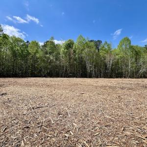 Photo #1 of Off Red Road, Nashville, NC 29.5 acres