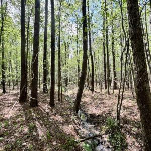 Photo #20 of Off Red Road, Nashville, NC 29.5 acres
