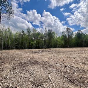 Photo #4 of Off Red Road, Nashville, NC 29.5 acres